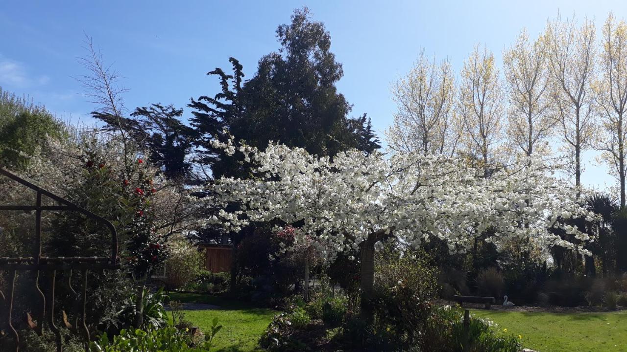 Folster Gardens Bed And Breakfast Invercargill Buitenkant foto