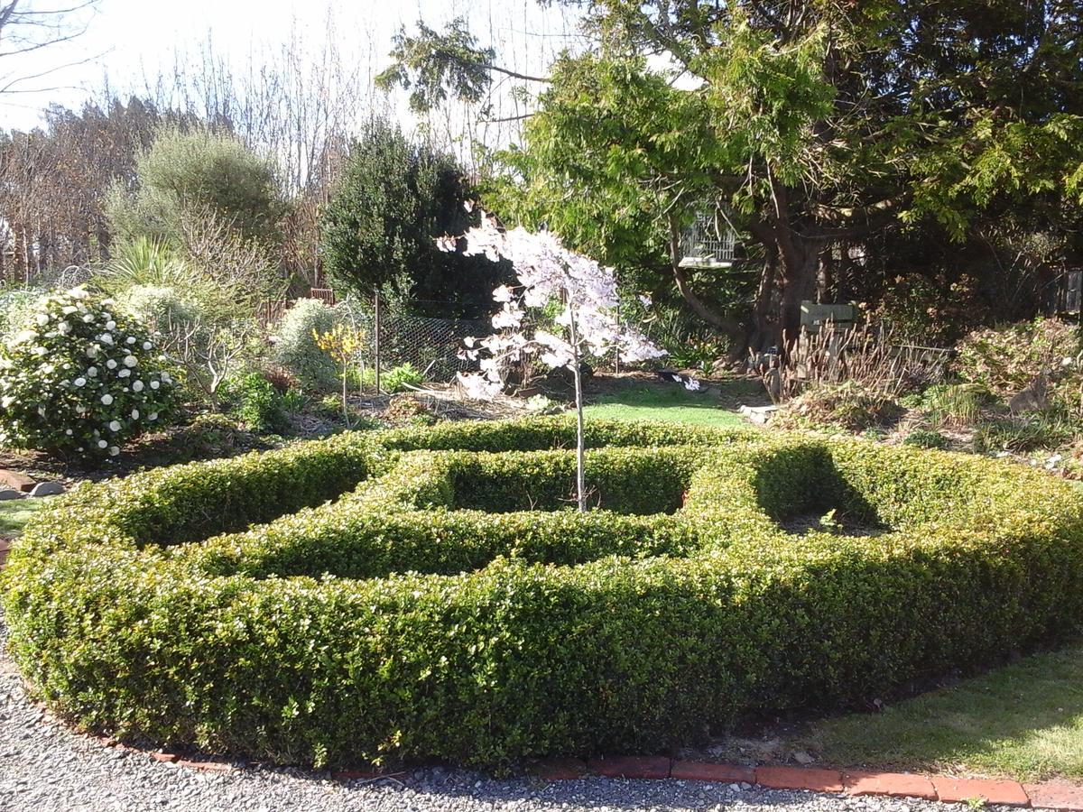 Folster Gardens Bed And Breakfast Invercargill Buitenkant foto