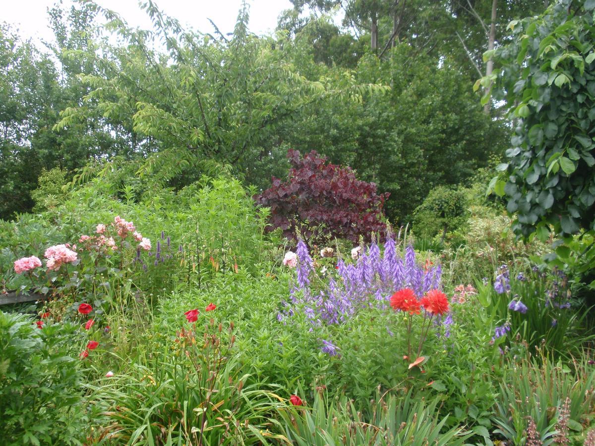 Folster Gardens Bed And Breakfast Invercargill Buitenkant foto